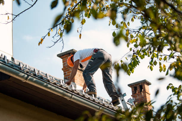 Best Roof Leak Repair  in Sherwood, WI