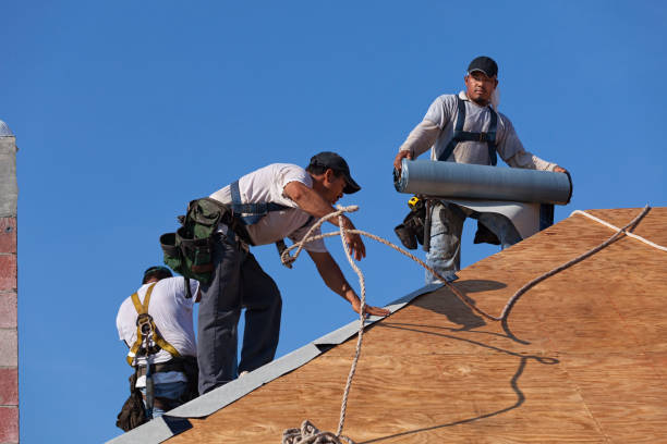 Best Best Roofing Contractors  in Sherwood, WI