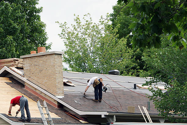 Best Roof Gutter Cleaning  in Sherwood, WI